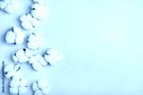 preview cold