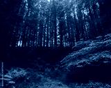 preview cold