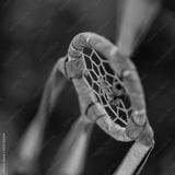 preview bw