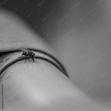 preview bw