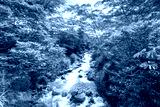preview cold