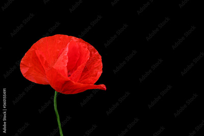 image to crop