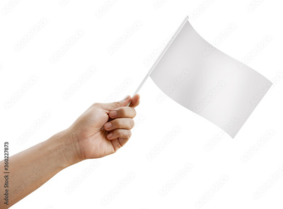 image to crop