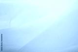 preview cold