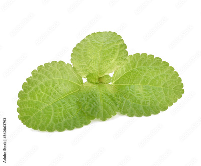 image to crop