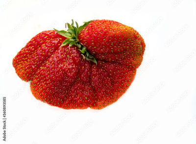image to crop