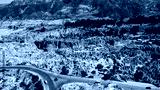 preview cold