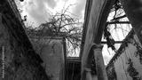 preview bw