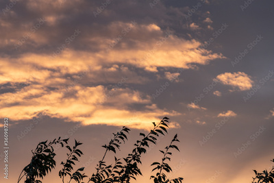 image to crop