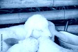 preview cold