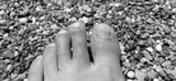 preview bw