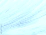 preview cold