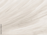 preview original