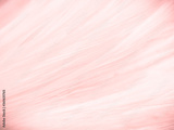 preview original
