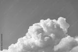preview bw