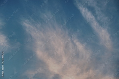 image to crop