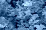 preview cold