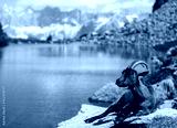 preview cold