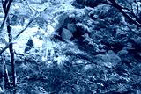 preview cold