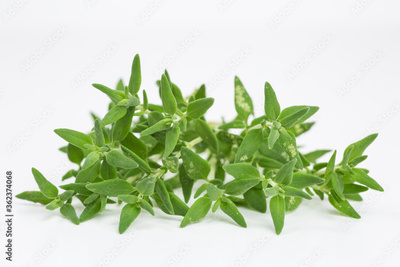 image to crop