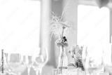 preview bw