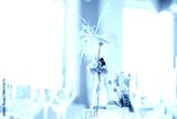 preview cold