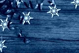 preview cold