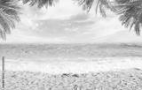 preview bw