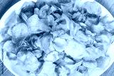 preview cold
