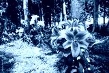 preview cold