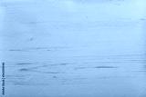 preview cold