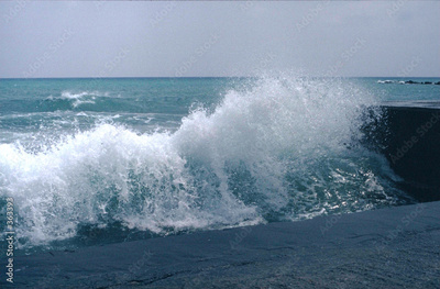 image to crop