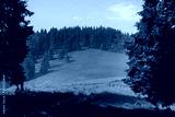 preview cold