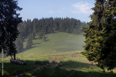 image to crop