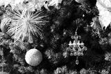 preview bw