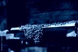 preview cold