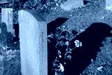 preview cold