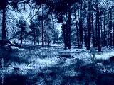 preview cold