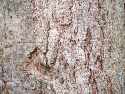 image to crop