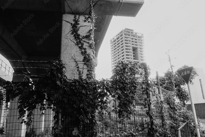 image to crop