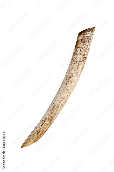 image to crop