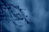 preview cold