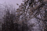 preview original