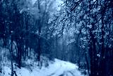 preview cold