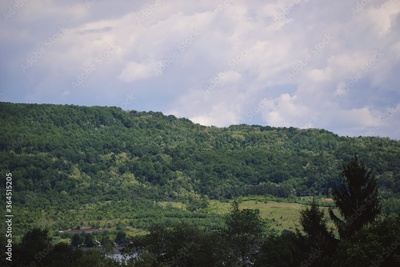 image to crop