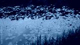 preview cold