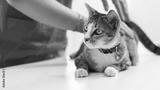 preview bw