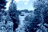 preview cold