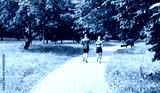 preview cold