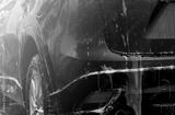 preview bw